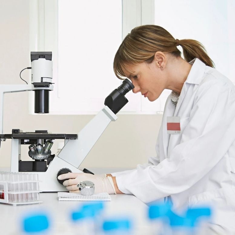 Travaux de Rénovation