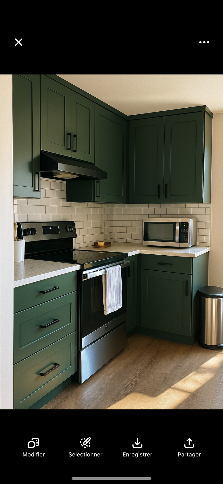 Projet de finition — Avenue Mont-Royal, Montréal