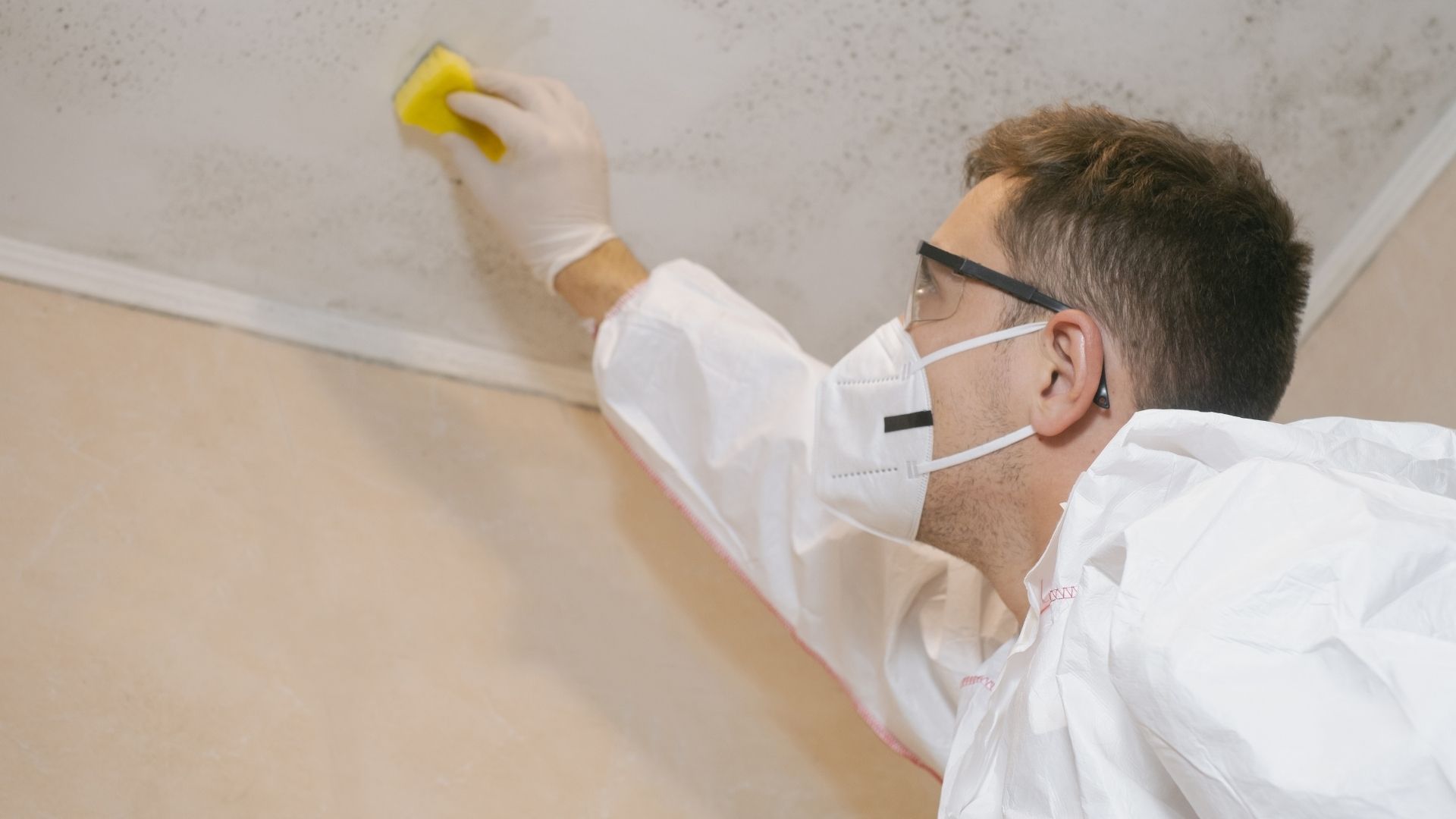 Décontamination moisissures selon protocoles certifiés — Beaconsfield